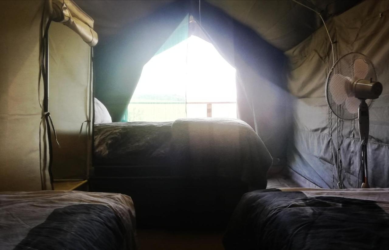 Chosen Glamping Tents 그래스콥 외부 사진