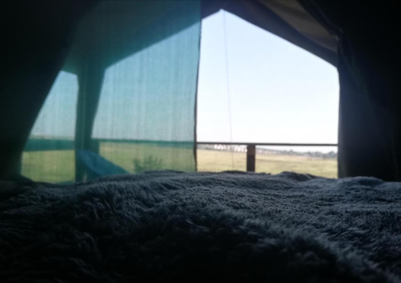 Chosen Glamping Tents 그래스콥 외부 사진