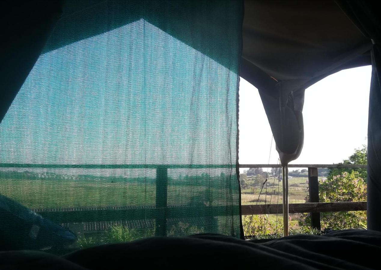 Chosen Glamping Tents 그래스콥 외부 사진